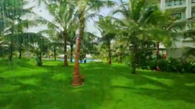 palmiye park büyük otel yakın çim ile 