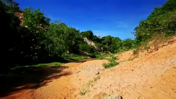 Fairy stream bank with orange slopes speckled — Stock Video