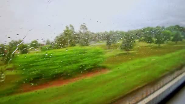 Krajinu prostřednictvím pohybu vlaku okno s deštěm — Stock video