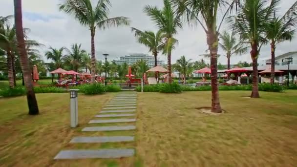 Prato tra le palme alla piscina dell'hotel — Video Stock