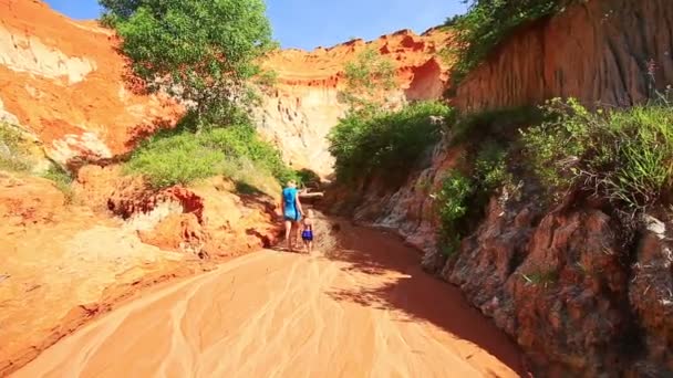 Matka a dcera chůze naboso na Fairy stream — Stock video