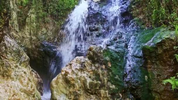 Mountain river foamy waterfall cascade — Stock Video