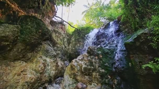 Mountain river foamy waterfall cascade — Stock Video