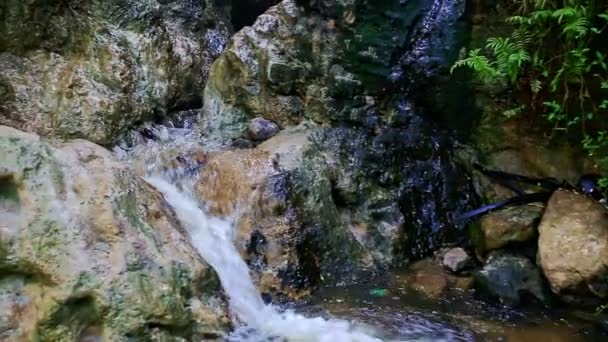 Horská řeka pěnitou vodopád — Stock video
