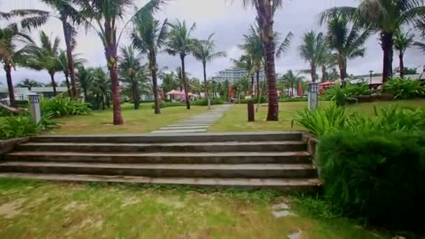 Panorama de playa palmera parque — Vídeo de stock