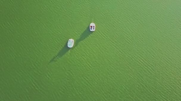 Катамарани плавають на яскраво-зеленому озері — стокове відео