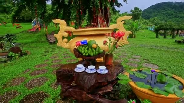 Flowers tea cups on large stump — Stock Video