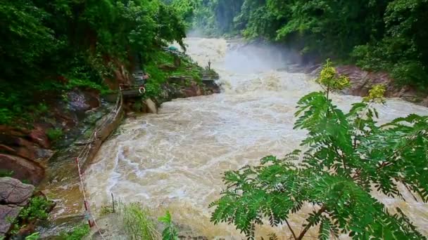 Mountain river cascade bland steniga banker — Stockvideo