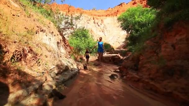 Madre e hija caminando descalzas en el arroyo de hadas — Vídeo de stock