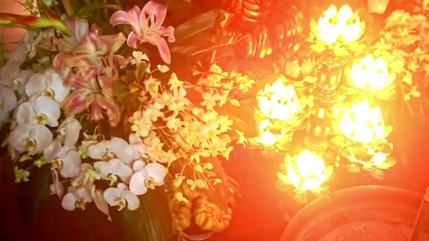 Flores rituales en estatua de buddha en templo — Vídeo de stock