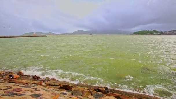 Vagues de mer avec rupture d'ondulation à la rive rocheuse — Video