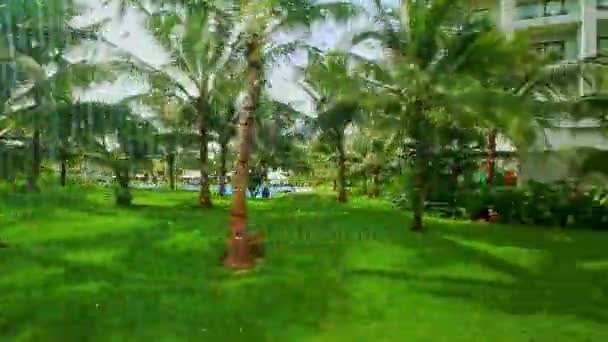 Palm park a gyep, nagy szálloda közelében — Stock videók