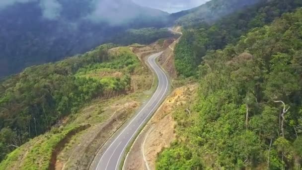 Mountain road among surrounding tropical woods — Stock Video