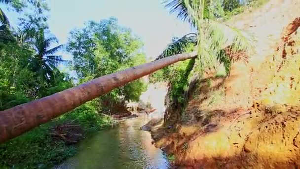 Rive de ruisseau de fées avec des pentes mouchetées — Video