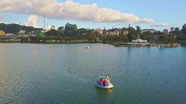 Озеро с плавающими лебедиными катамаранами на воде — стоковое видео