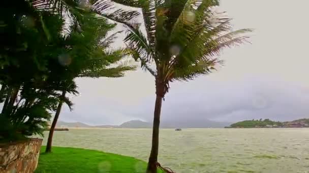Тропический парк в курортном городе против моря — стоковое видео