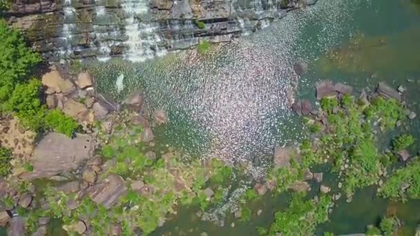 Tropikal highland akış şelaleler art arda sıralı — Stok video