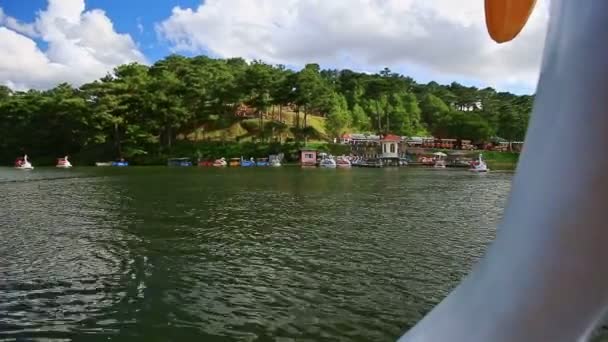 Barcos de cisne nadando no lago — Vídeo de Stock