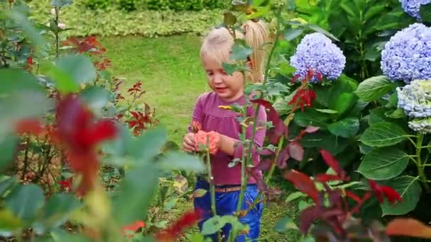 Flicka som leker med blommor i tropisk park — Stockvideo