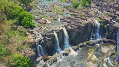nehir orman karşı akımına şelaleler