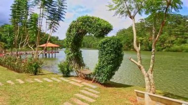 oval bush düşündüm tezgah içinde kırpılmış 