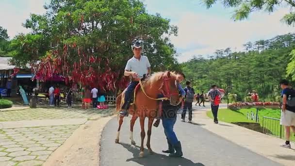 Турист и маленький сын садятся на лошадь — стоковое видео