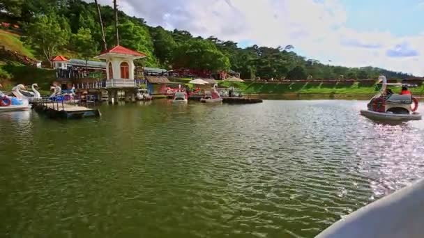 Swan-båtar som simmar i sjön — Stockvideo