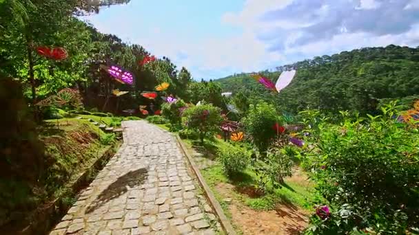 Walkway among tropical plants and artificial butterflies — Stock Video