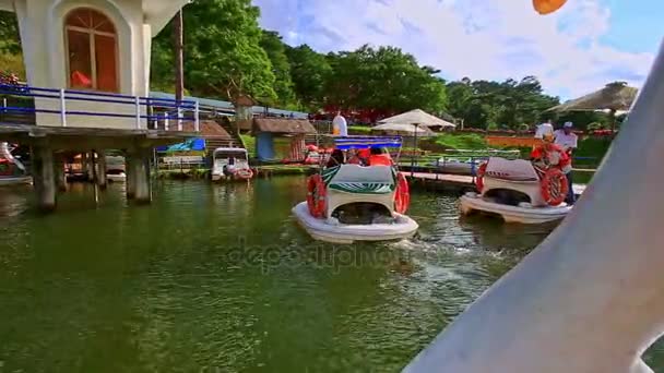 Barcos de cisne nadando no lago — Vídeo de Stock