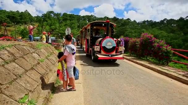 Tren turístico a lo largo de carretera — Vídeos de Stock