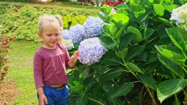 Κορίτσι παίζει με τα λουλούδια στο τροπικό πάρκο — Αρχείο Βίντεο