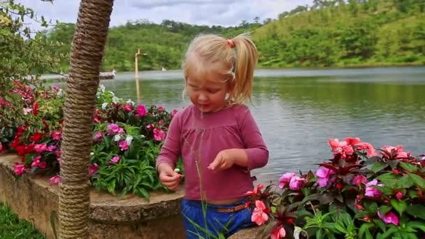 少女は花の花弁をおすすめ — ストック動画