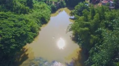 yeşil bitkiler arasında tropikal Nehri 