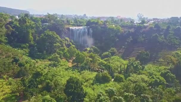 Chute d'eau célèbre courant parmi les plantes tropicales — Video