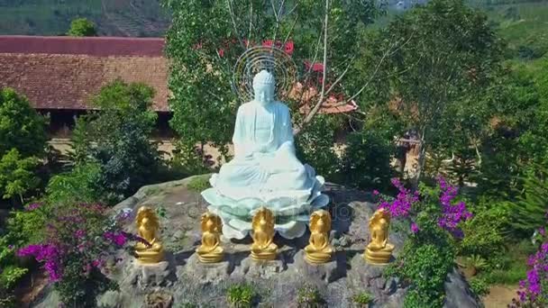 Statue de Bouddha avec sculptures dans la cour de la pagode — Video