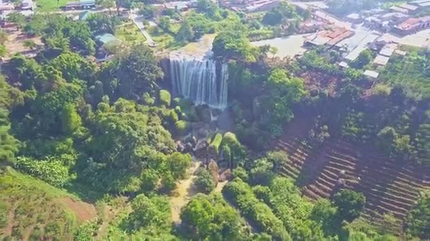 Famous waterfall running among tropical plants — Stock Video