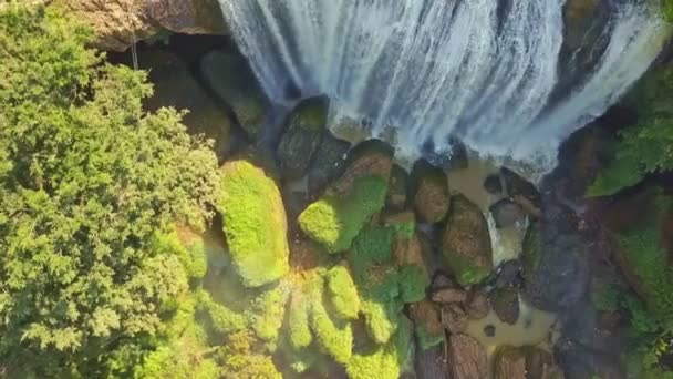 Famosa cascada corriendo entre plantas tropicales — Vídeo de stock