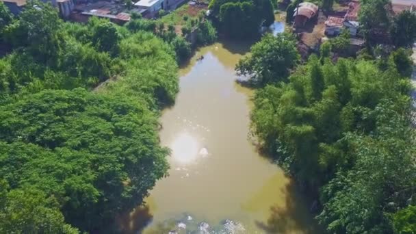 Río fluye entre árboles verdes — Vídeo de stock