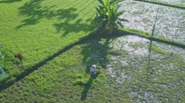 salata alan çalışma Vietnamca çiftçi ile