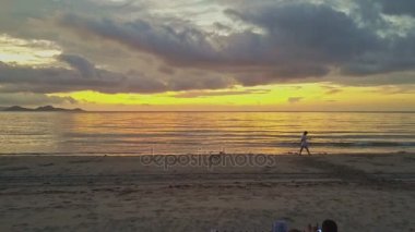 köpek ve gösterileri çift sahil üzerinde olan adam