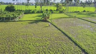 salata alan çalışma Vietnamca çiftçi ile