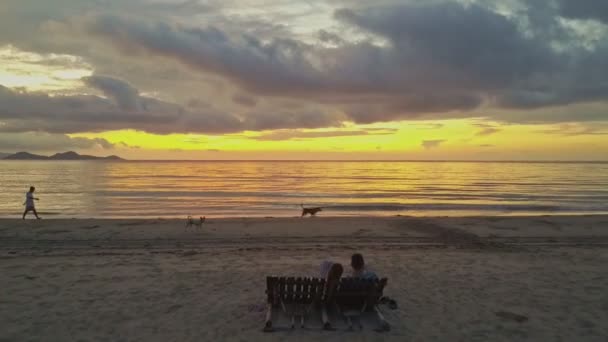 Пара в шезлонгах мужчине ходить по берегу моря с собаками — стоковое видео