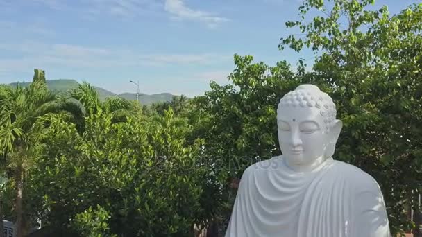 Grande statue de Bouddha dans la cour du temple — Video