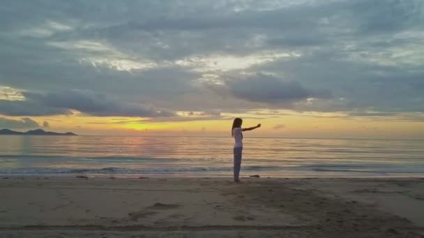 Menina fazendo selfie na praia de areia — Vídeo de Stock
