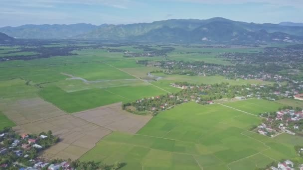 Byarna runt stora risfälten på landsbygden — Stockvideo
