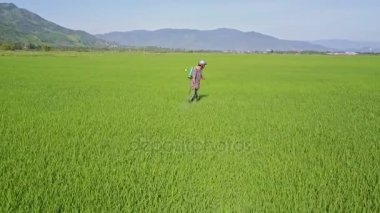 kimyasallar üzerinde pirinç tarlaları yağmurlama adam