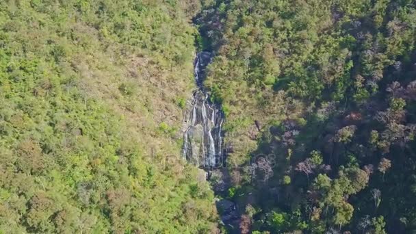 Kloof met rivier trapsgewijs onder tropische jungle — Stockvideo