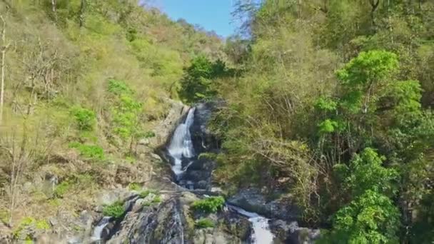 Potente cascata nella foresta tropicale della giungla — Video Stock