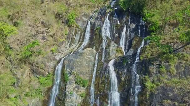 Chute d'eau puissante dans la forêt tropicale jungle — Video