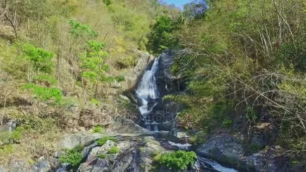 Potente cascata nella foresta tropicale della giungla — Video Stock